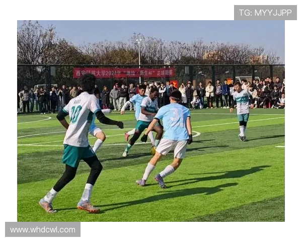 激动人心的体育盛事全景回顾，精彩赛事一网打尽，带你走进最热血的体育世界