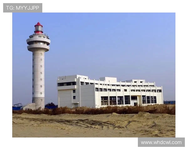 盐城大丰港战队崛起背后探索 竞技与城市发展共融的新篇章