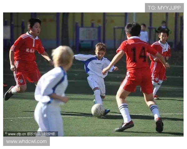 北京排球队区域防守革新之路：战术演变与未来展望