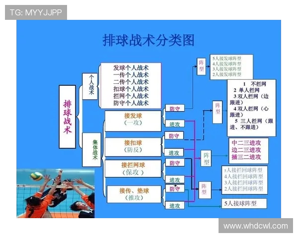 南京排球队战术对比深度解析与未来发展方向探讨