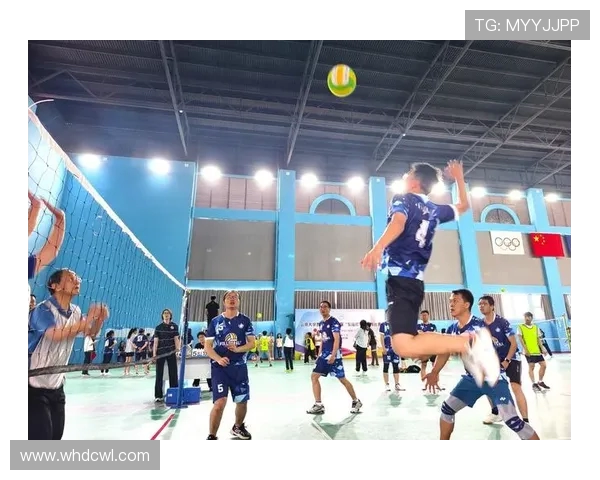 广州排球队在全国排球耐力排行榜中荣获第九名的佳绩引发关注