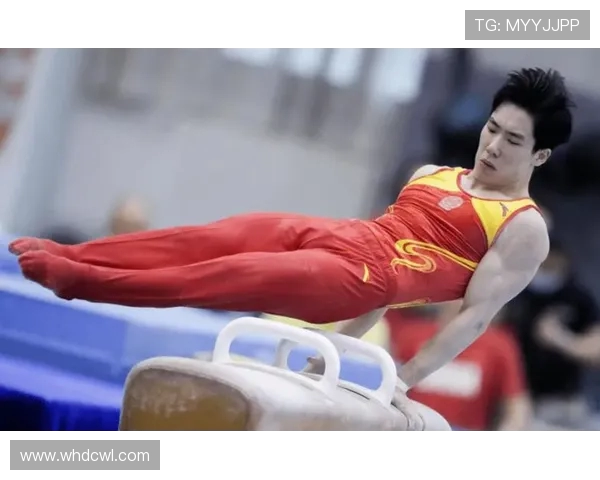 成都乒乓球队实力飙升创造历史新高引发全国关注