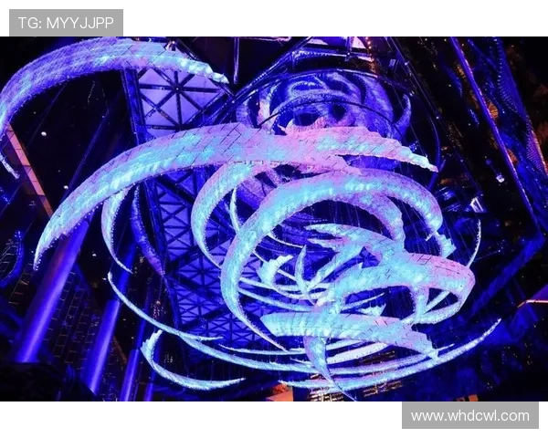 成都篮球队的独特节奏揭秘与魅力展现全景分析