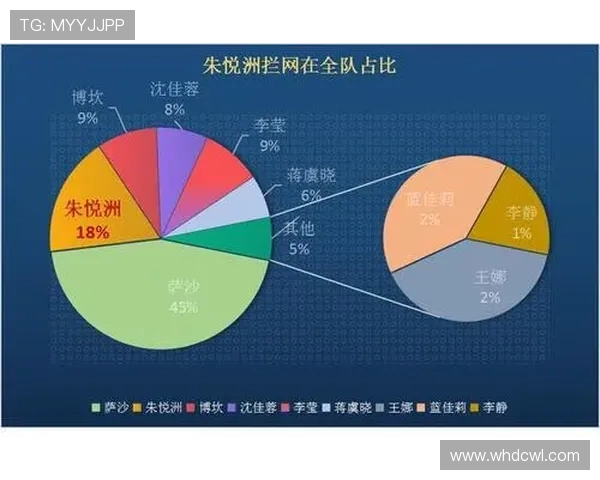 杭州排球队与南京排球队对决后的战术分析与经验总结