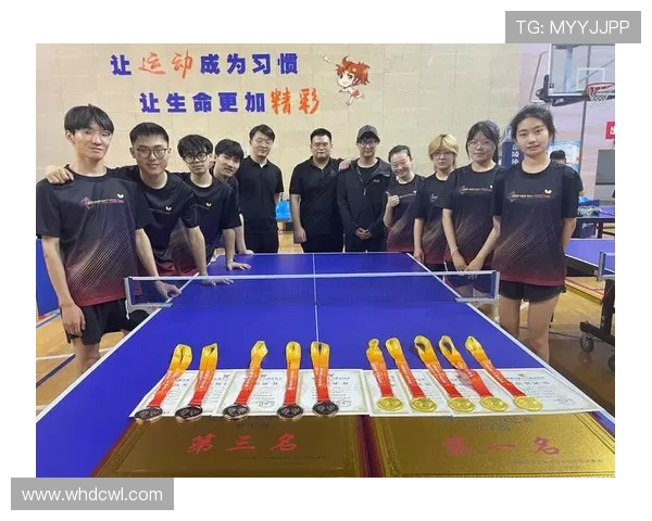 武汉乒乓球队在全国团队协作排行榜中荣获第五名的佳绩分析